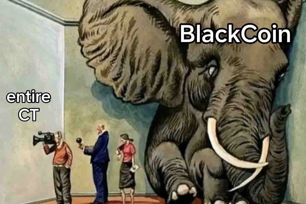 blackcoin elephant.jpg