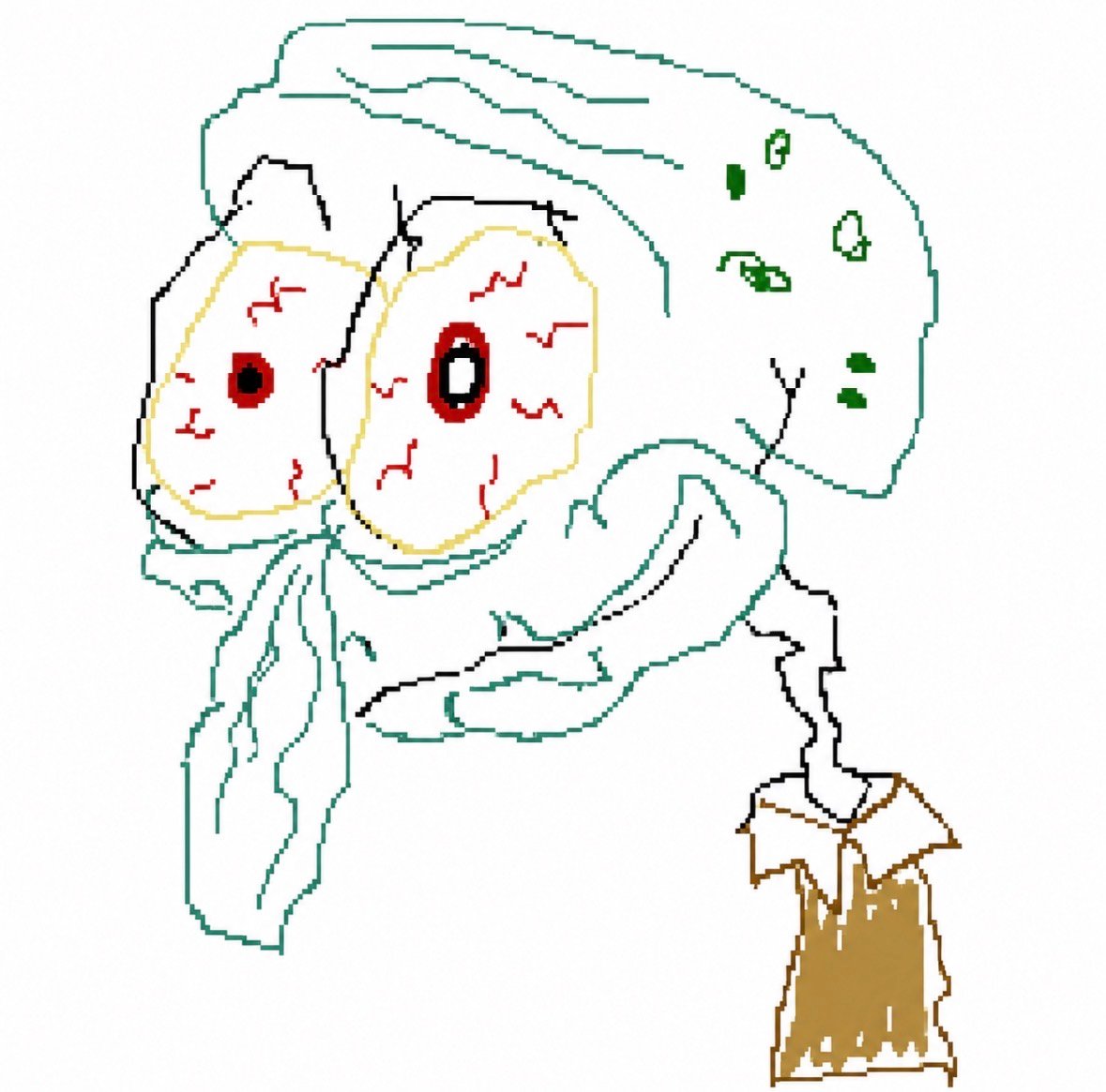 IMG_1210.jpeg