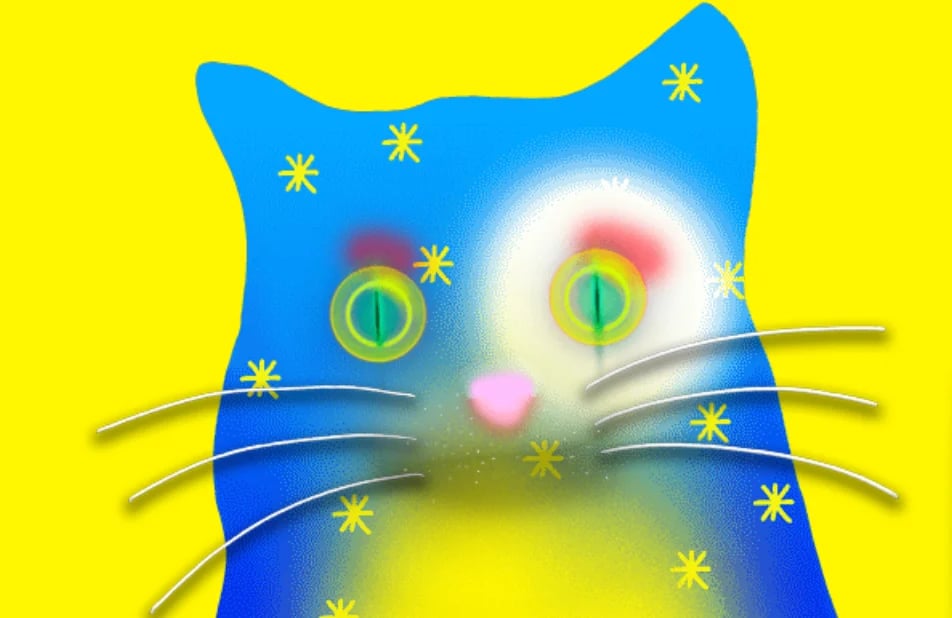 Quantum Cats