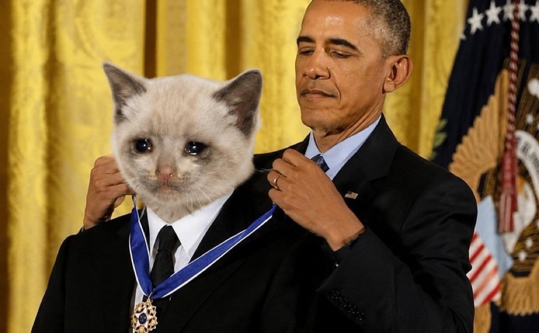 Medal of Honour