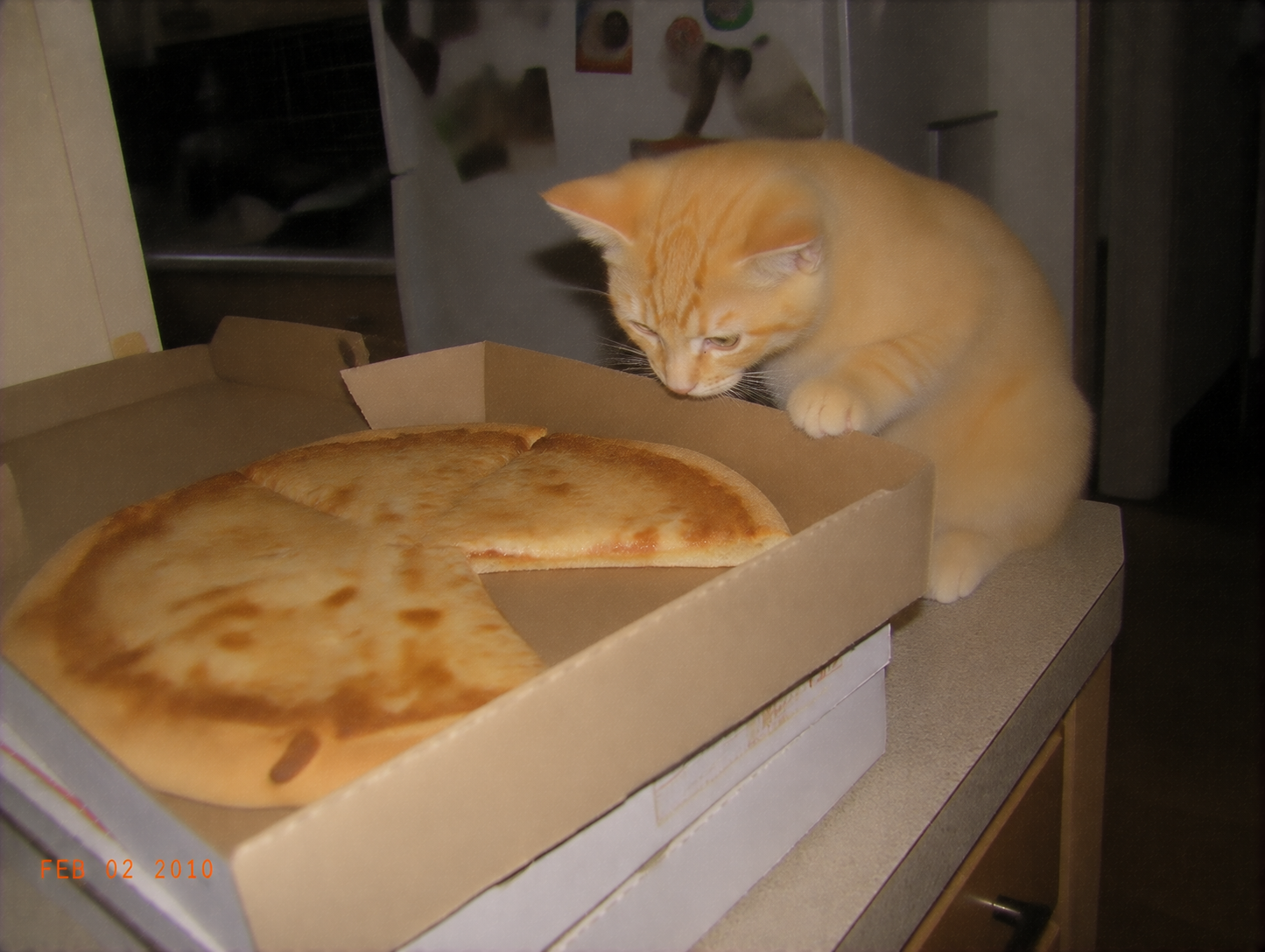 sirius-51-pizza-day.png