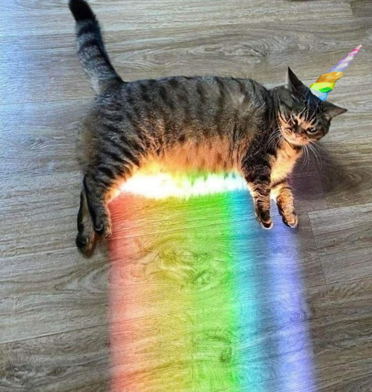 photo_2026-02-14_18-01-42 (4).jpg