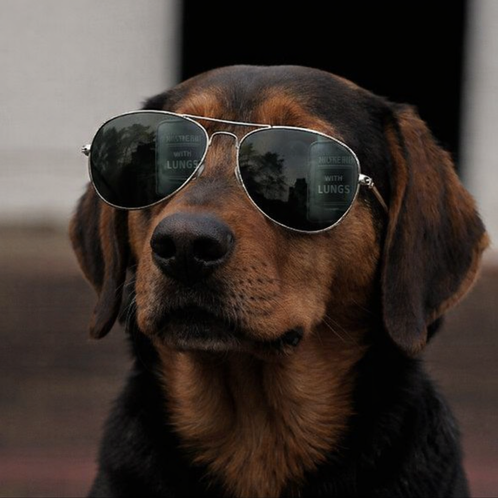 Tatranský Durič.png