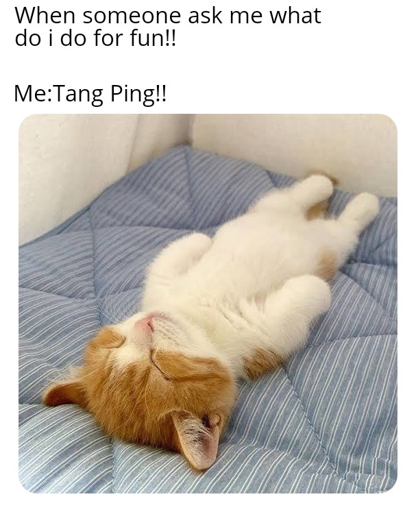 Tang ping cat tangpinging