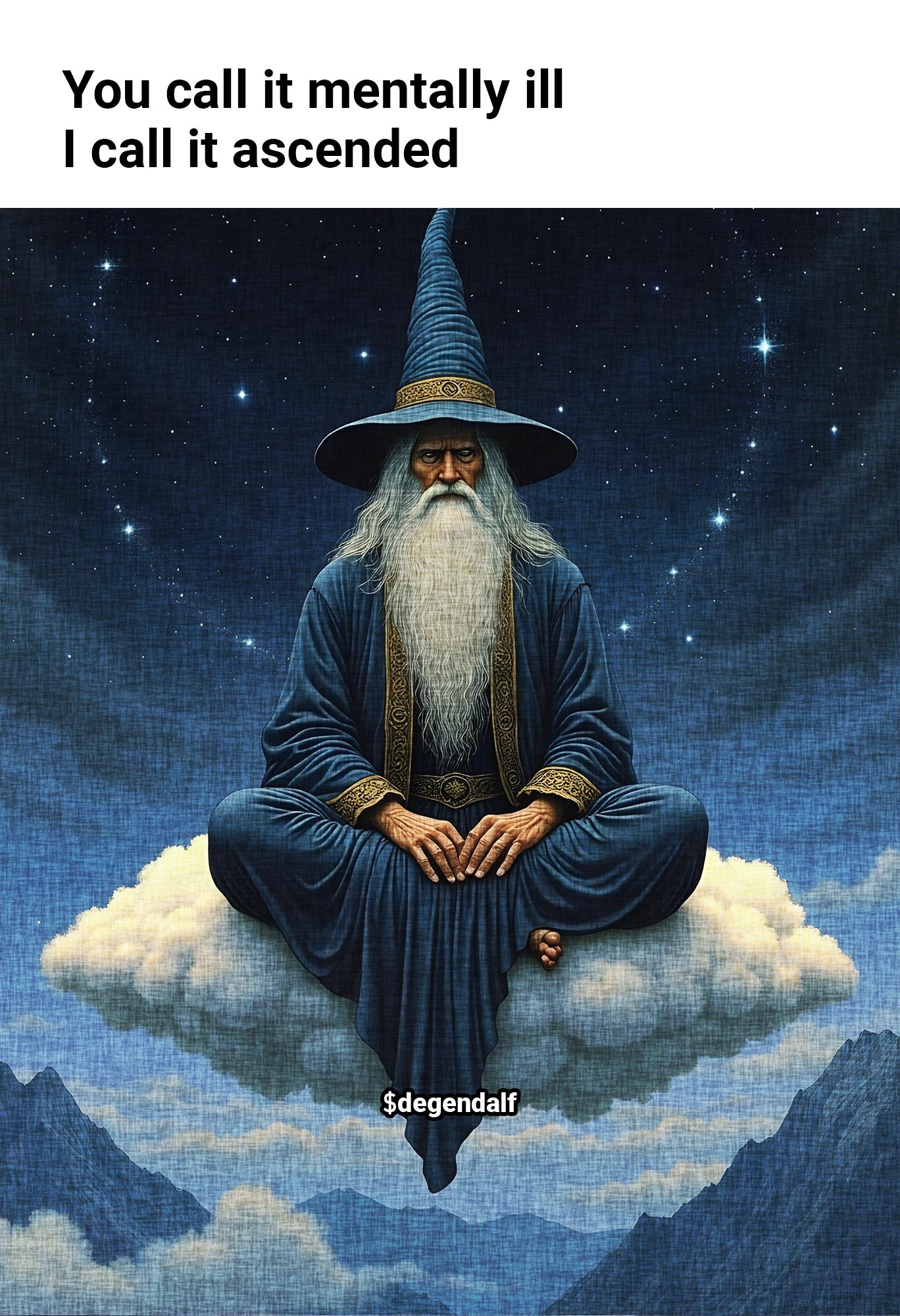 You call it mentally ill - I call it ascended 1.jpg