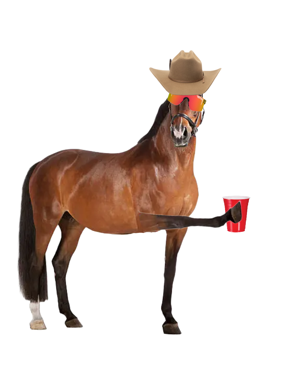 drunk_horse.png