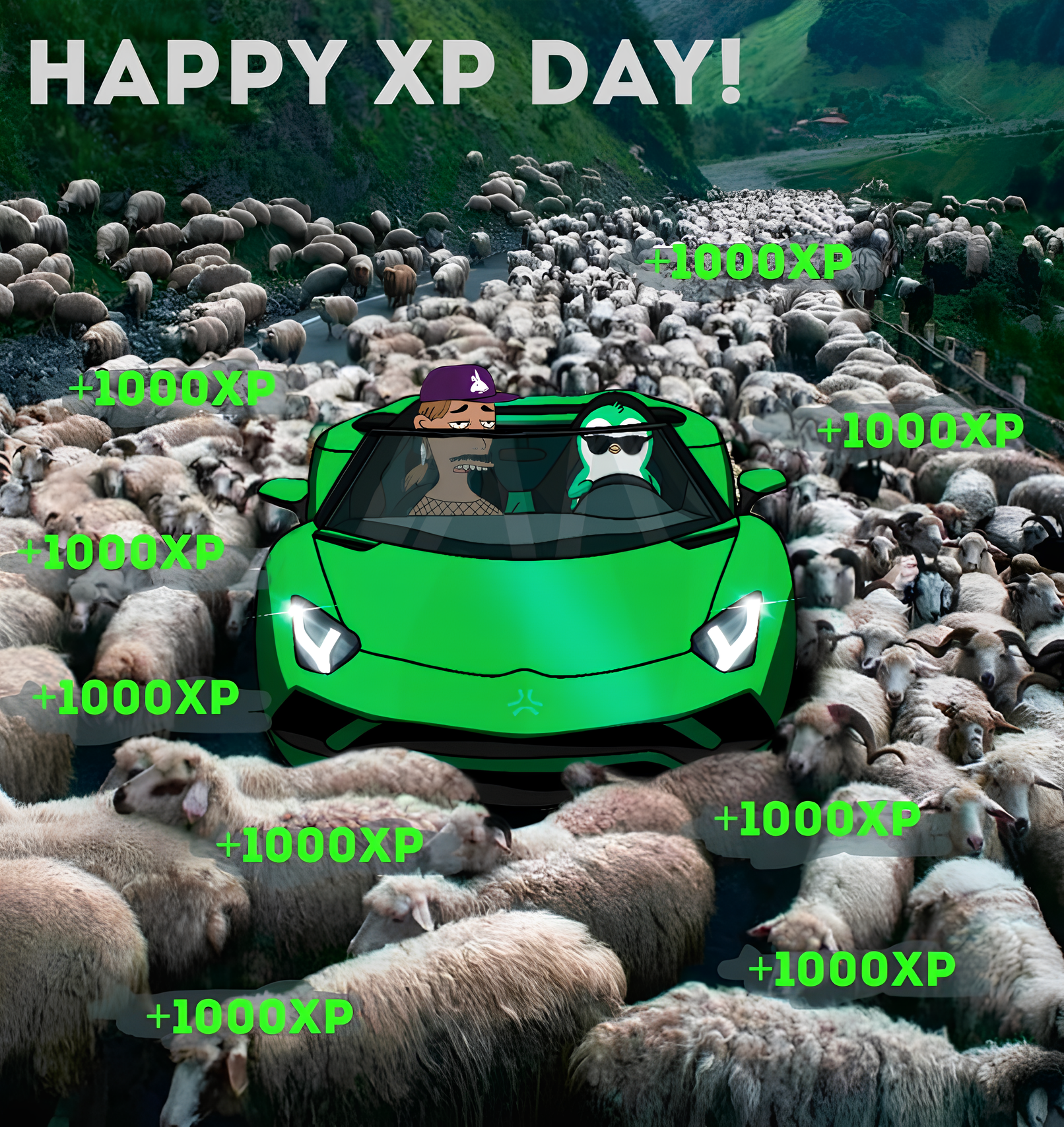 xp (1).png