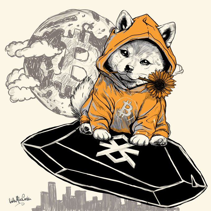 width=1080,quality=100 (2).jpeg