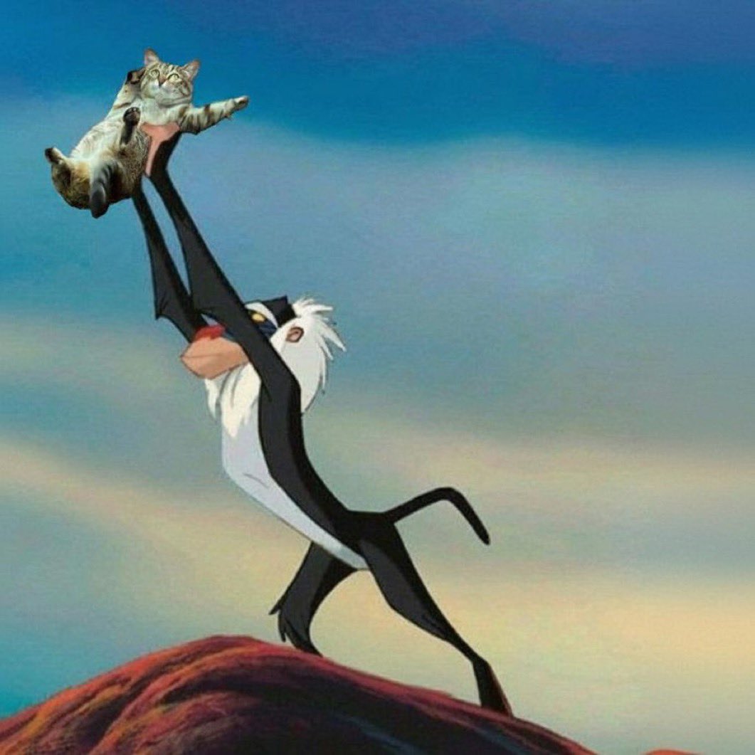 HLQQaK7WEAEAWbf.jpg