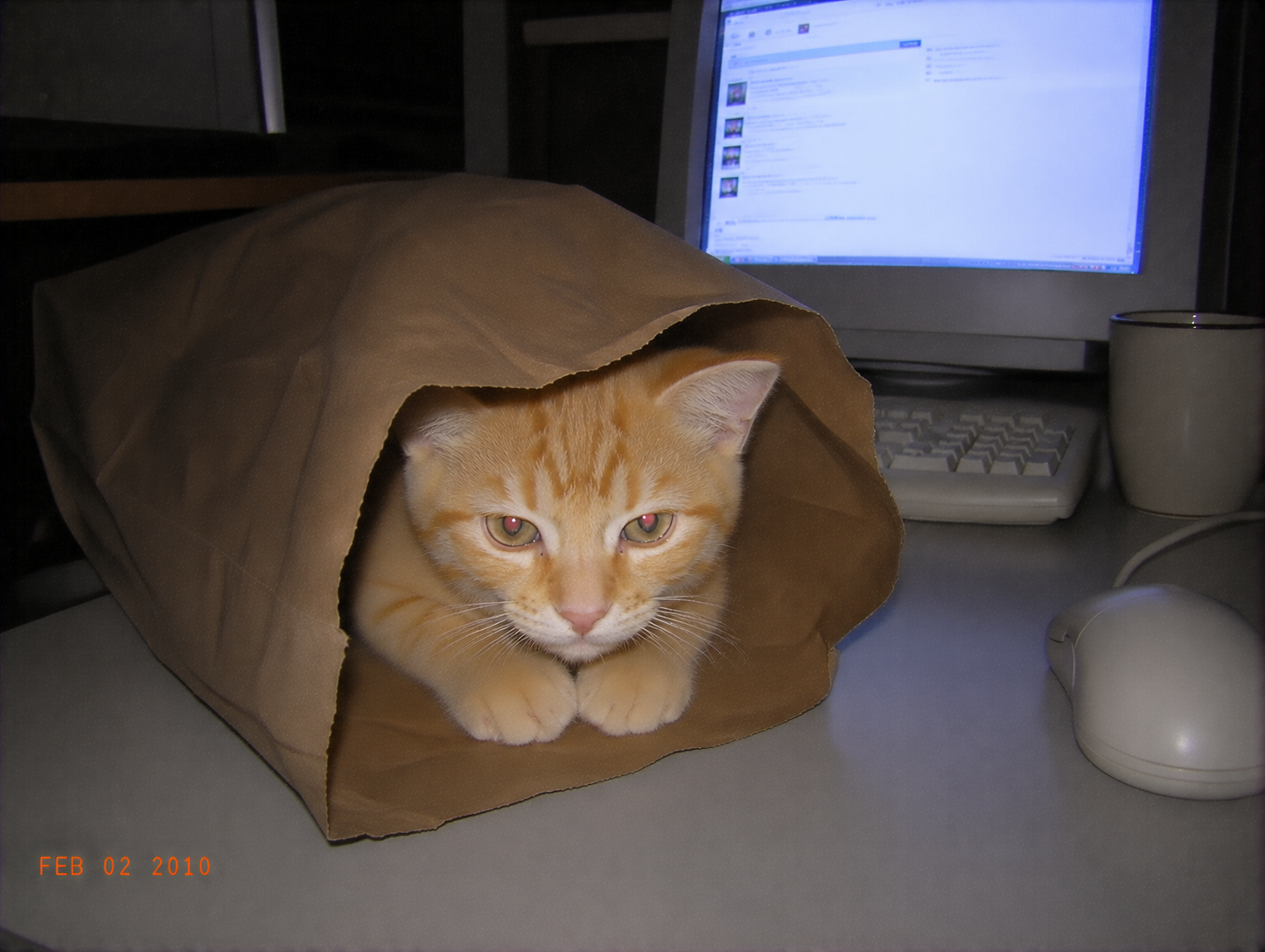 sirius-47-bag-holder.png