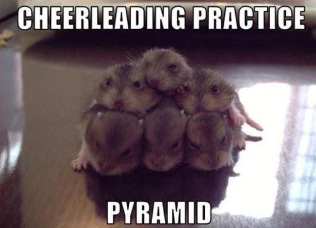 cheerleading practice pyramid.JPG