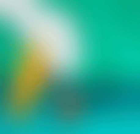 6b2.gif