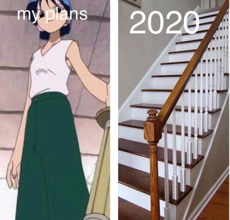 014-one-piece-2020-meme.jpg