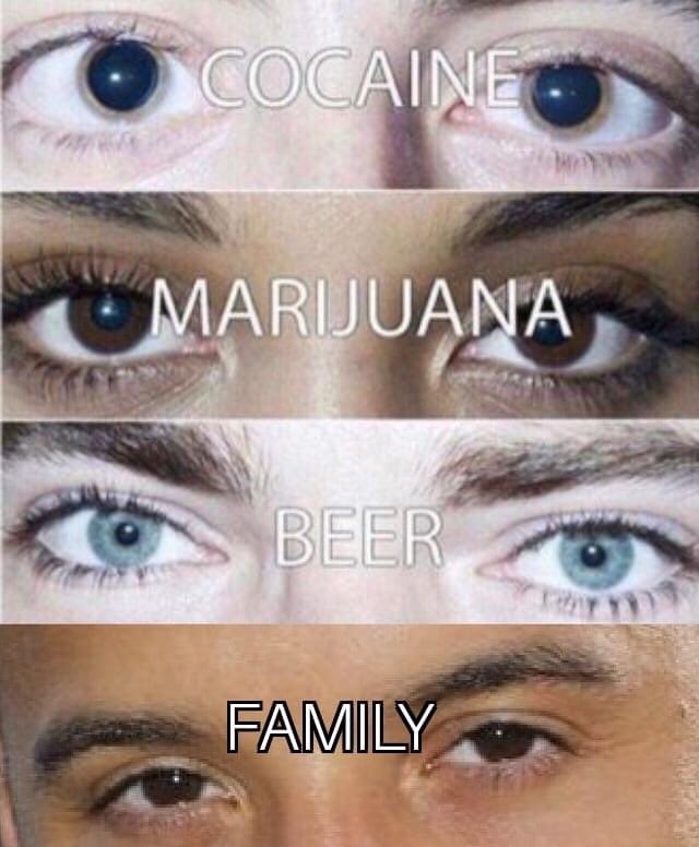 vin-diesel-meme-family-3986903405.jpg