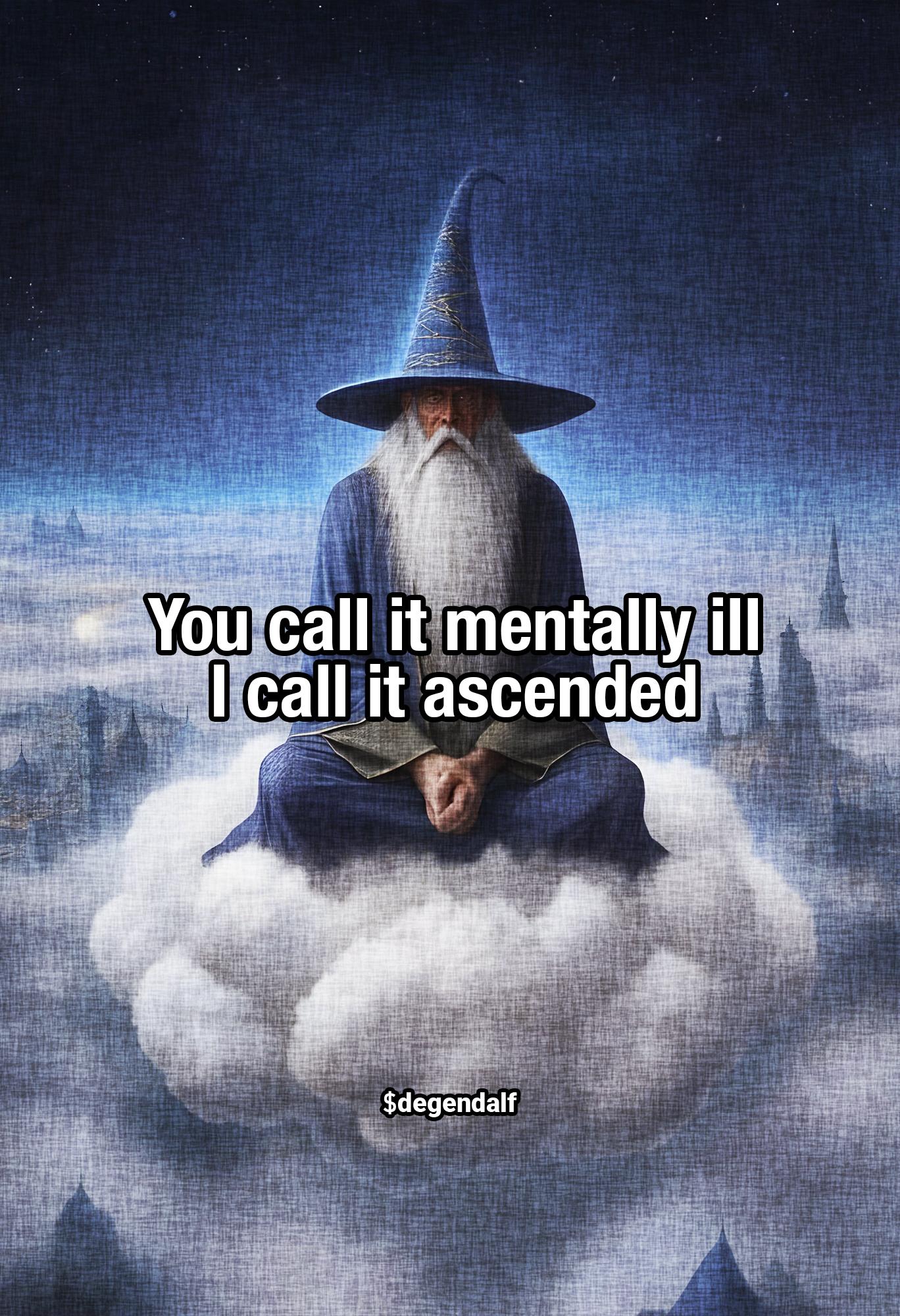 You call it mentally ill - I call it ascended 2.jpg