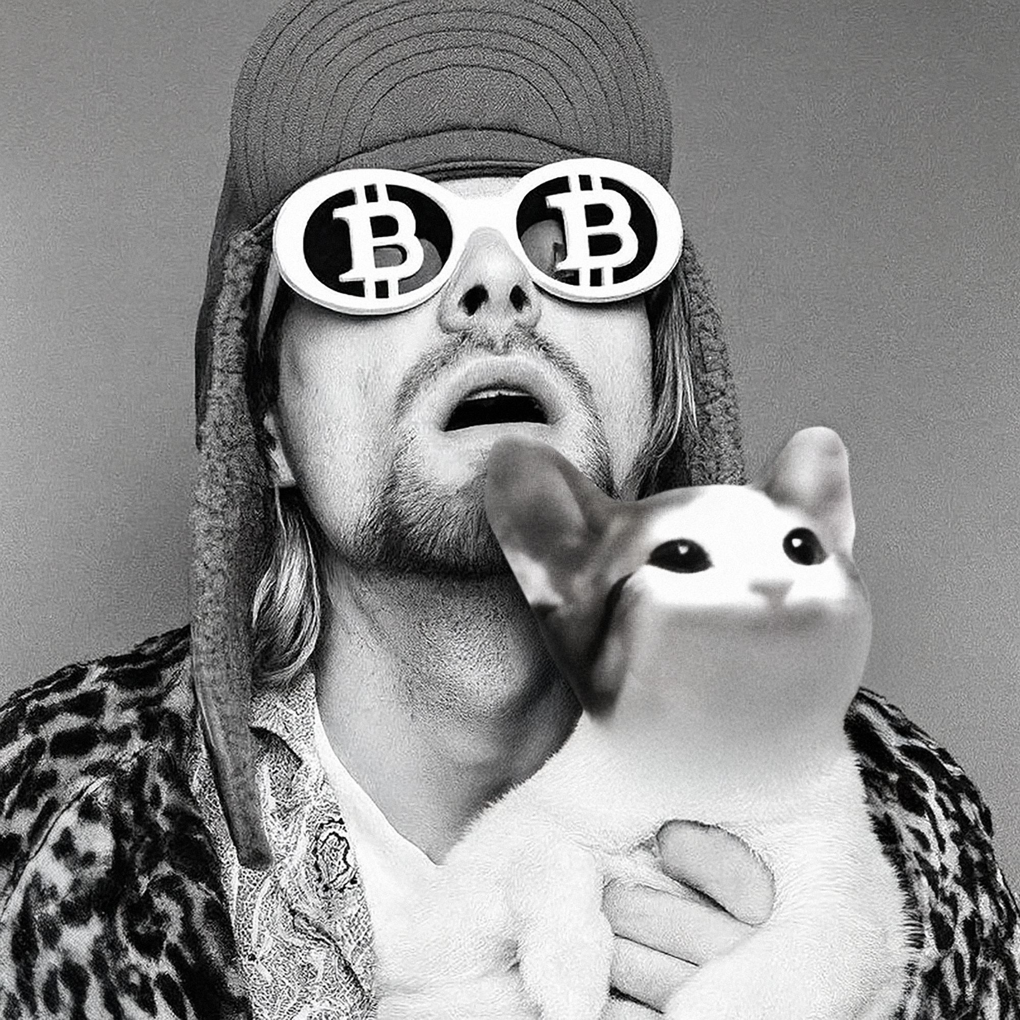 Popcat 
