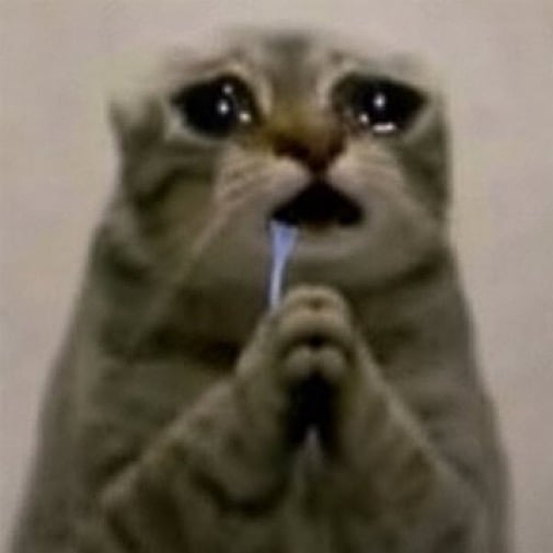 IMG_4247.jpeg