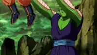 piccolo-gohan.webp