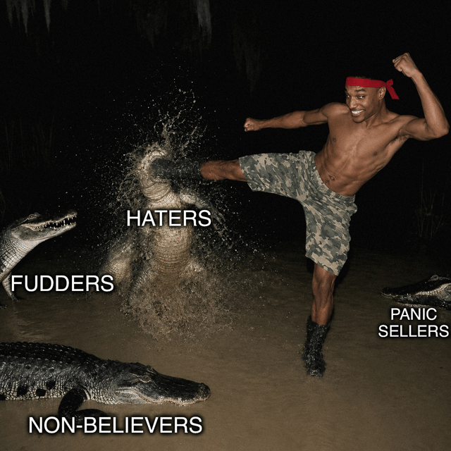 everybody was kung fu fighting
