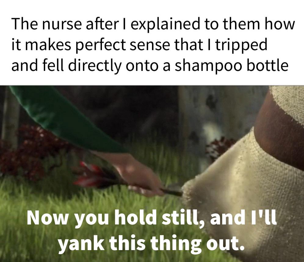 145u20v-Making_a_meme_from_every_line_in_Shrek__2001__Day_513-2o0kgcj5c55b1.jpg
