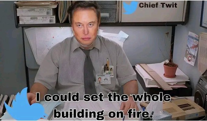 Elon Musk Google Memes (37).jpg