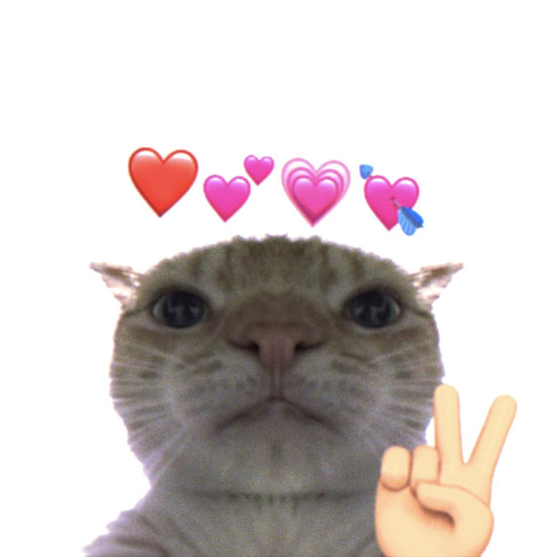 HOXtLd8aUAAcms8.jpeg