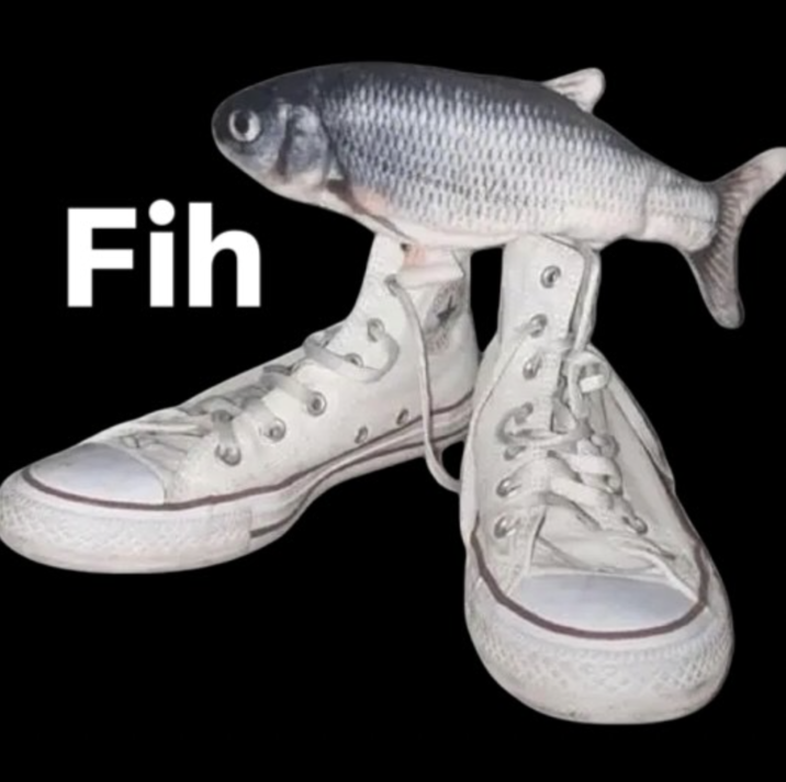 fihshoes.png