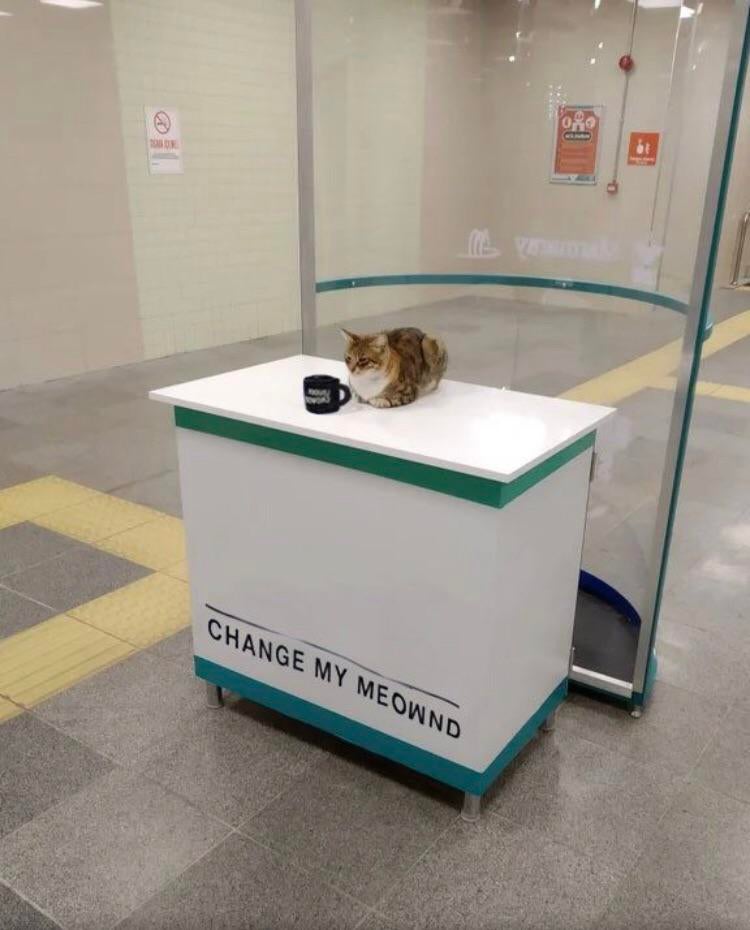 Change My Mind - Change My Meownd Empty Template - Cat, Sign.jpg