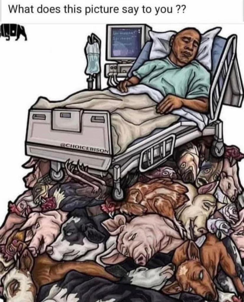 boomer's playground (1551).jpg