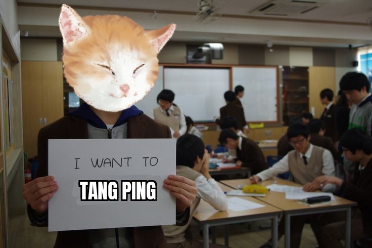 Tang ping school