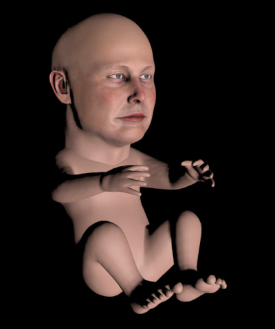 Elon Musk Google Memes (61).jpg