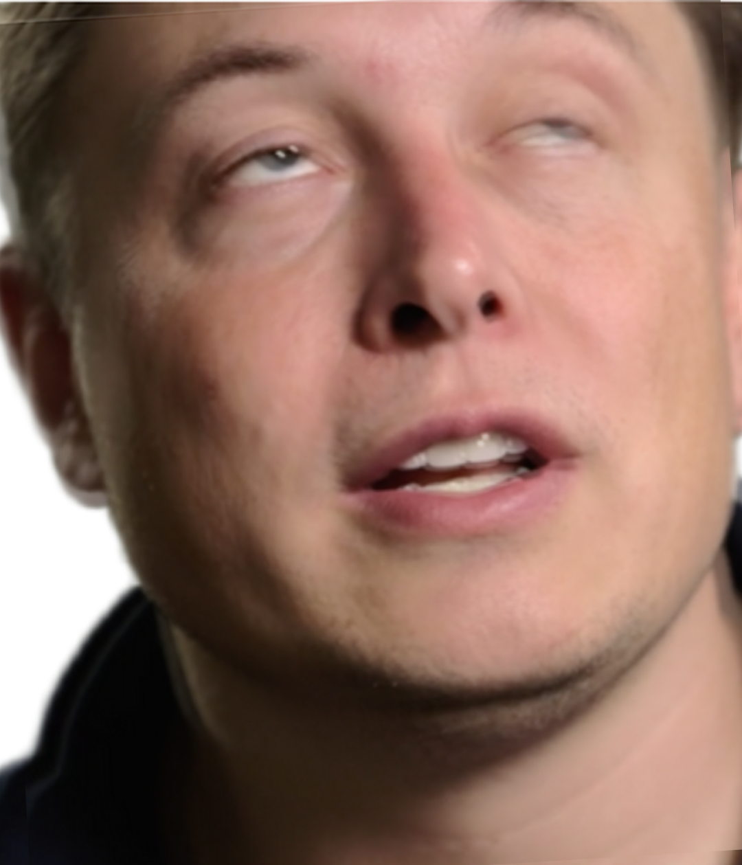 Elon_high.png