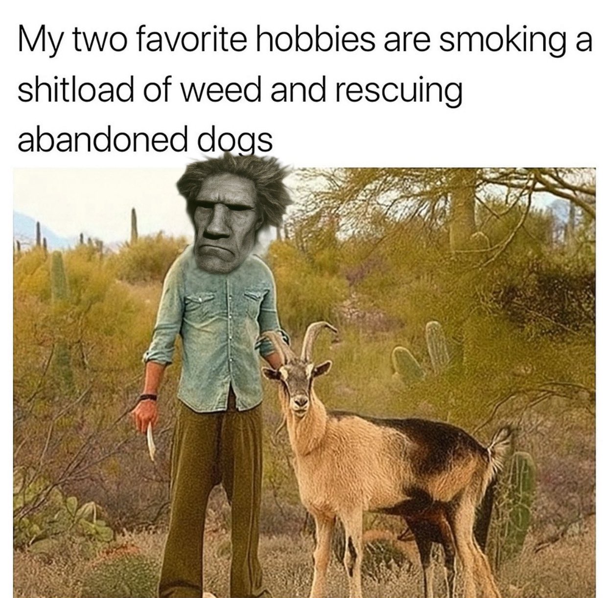 1000008058.jpg