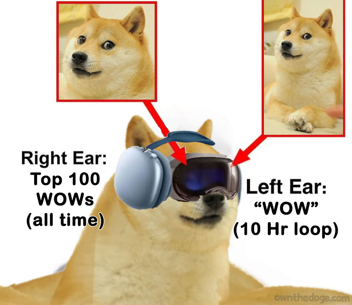 doge-meme-visionpros.png