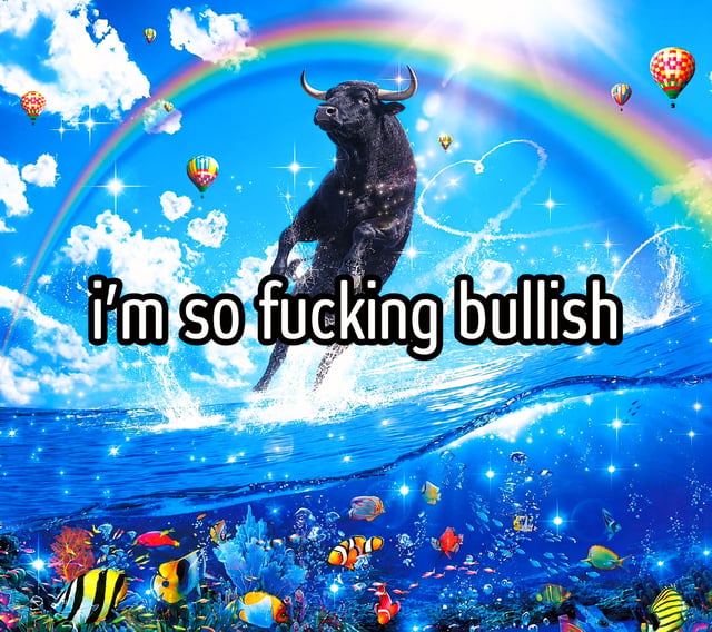 Bull Dolphin So Fucking Bullish
