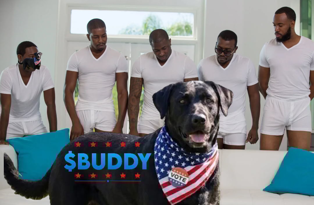 Buddy The Democrat Dog