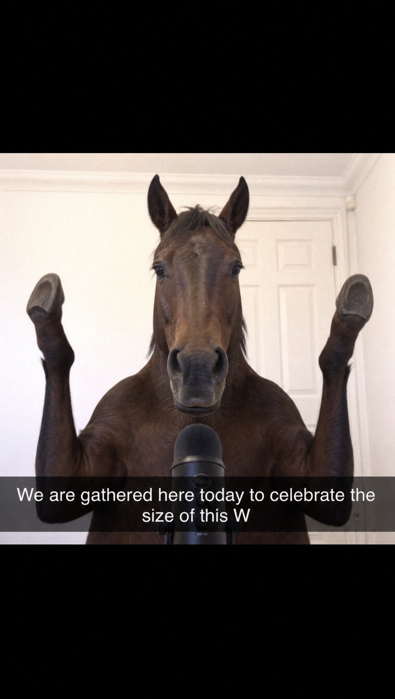 hf_20260503_042729_282a27ed-bc9a-4b01-9540-f0f751cb8698.png