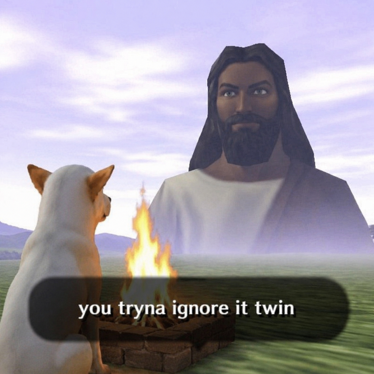 you tryna ignore it twin