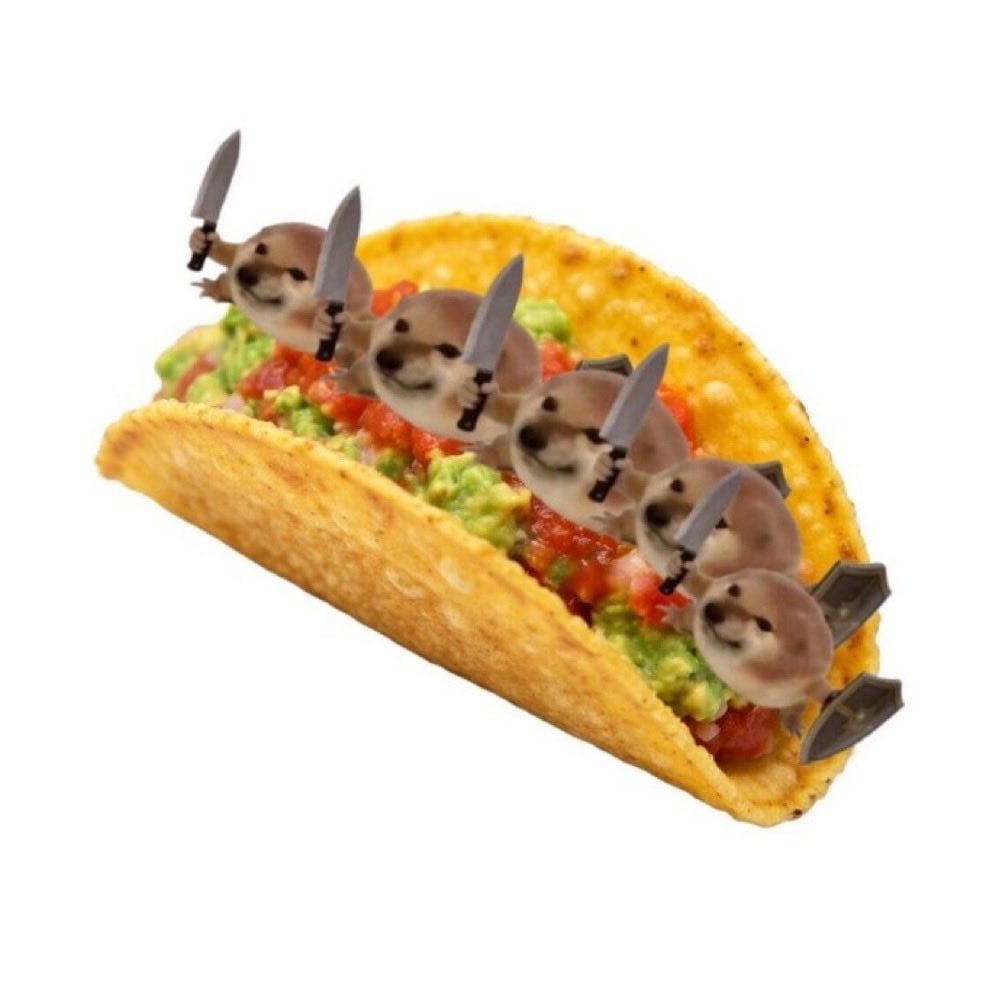 taco4.jpeg