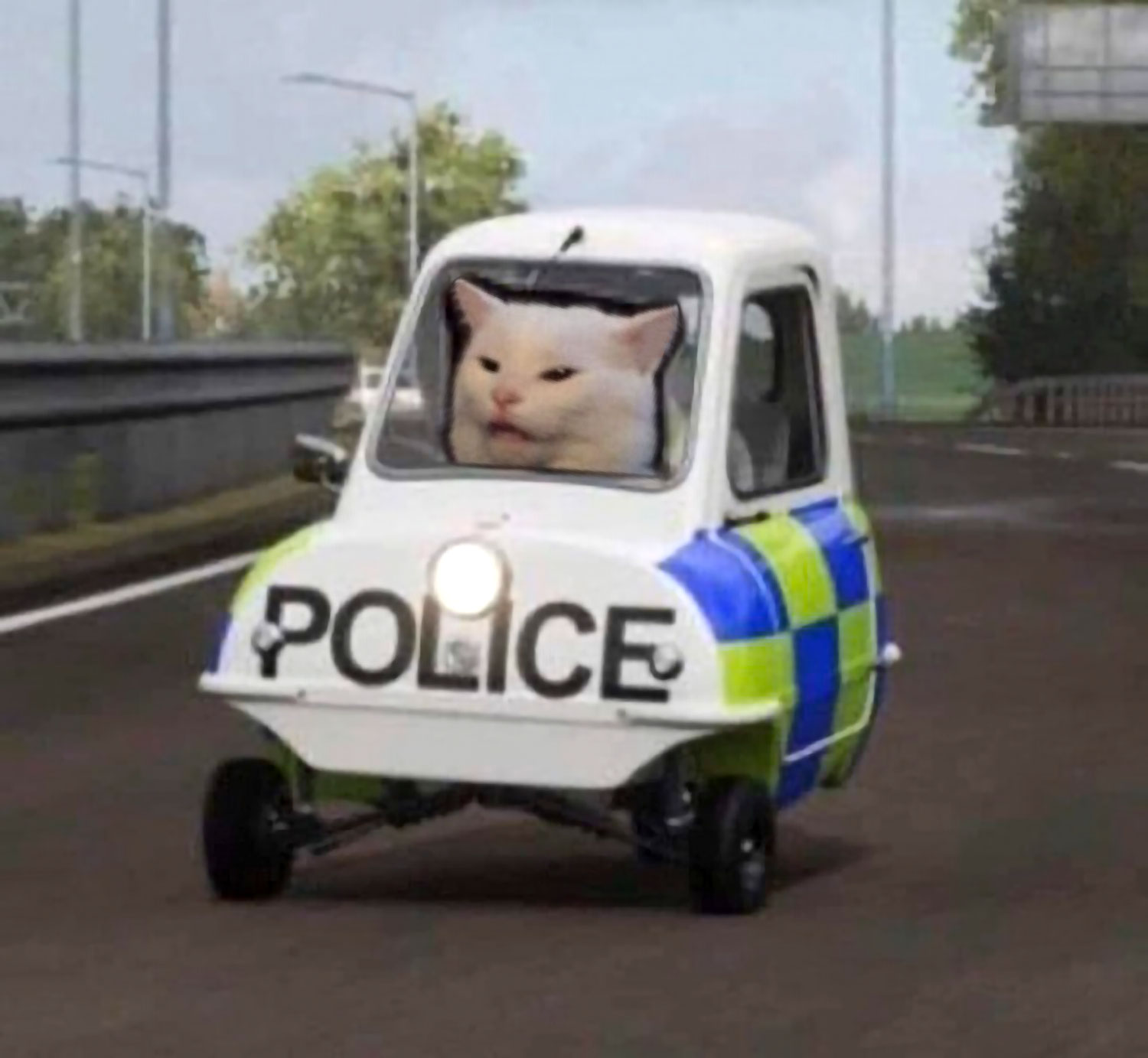 Cat police.jpg