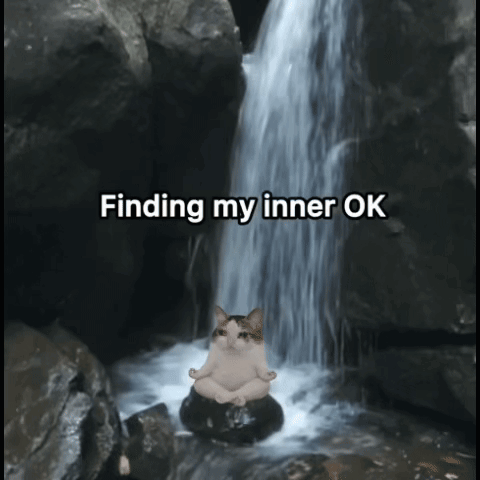 IMG_8395.gif