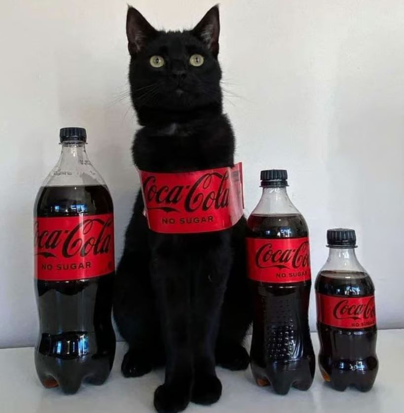 coca cola cat.JPG