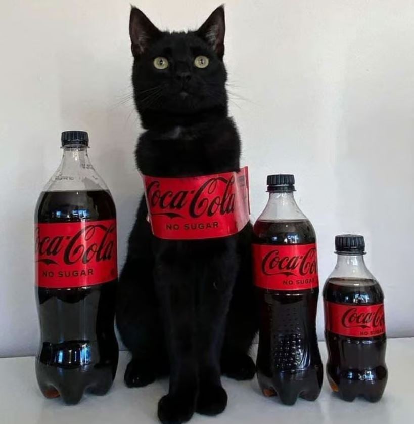 coca cola cat.JPG