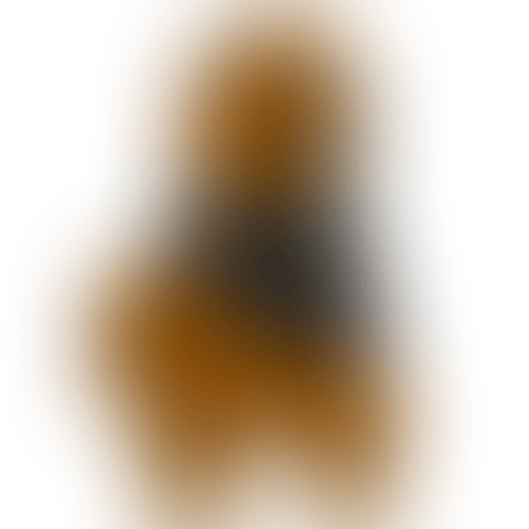 Untitled-3.gif