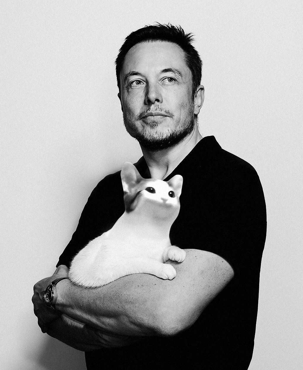 Elon Popcat