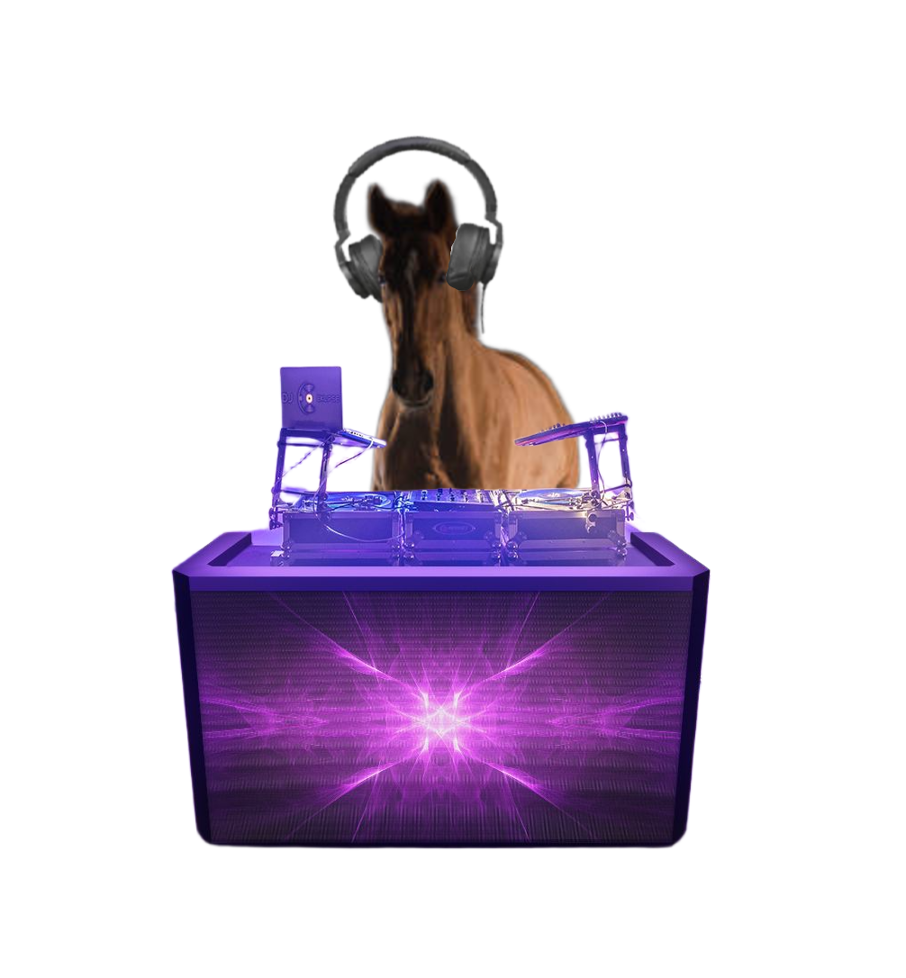 DJ_horse.png