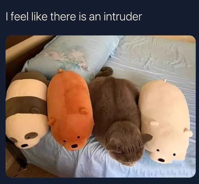 FxSPHmIaMAUjEX2 (1).webp