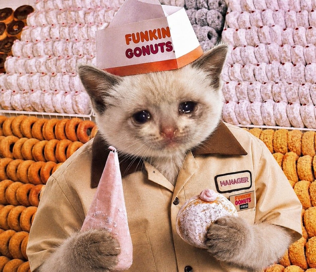 Funkin Donuts