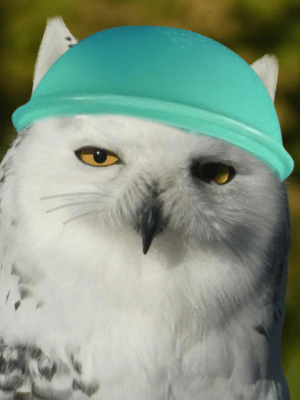 we.png