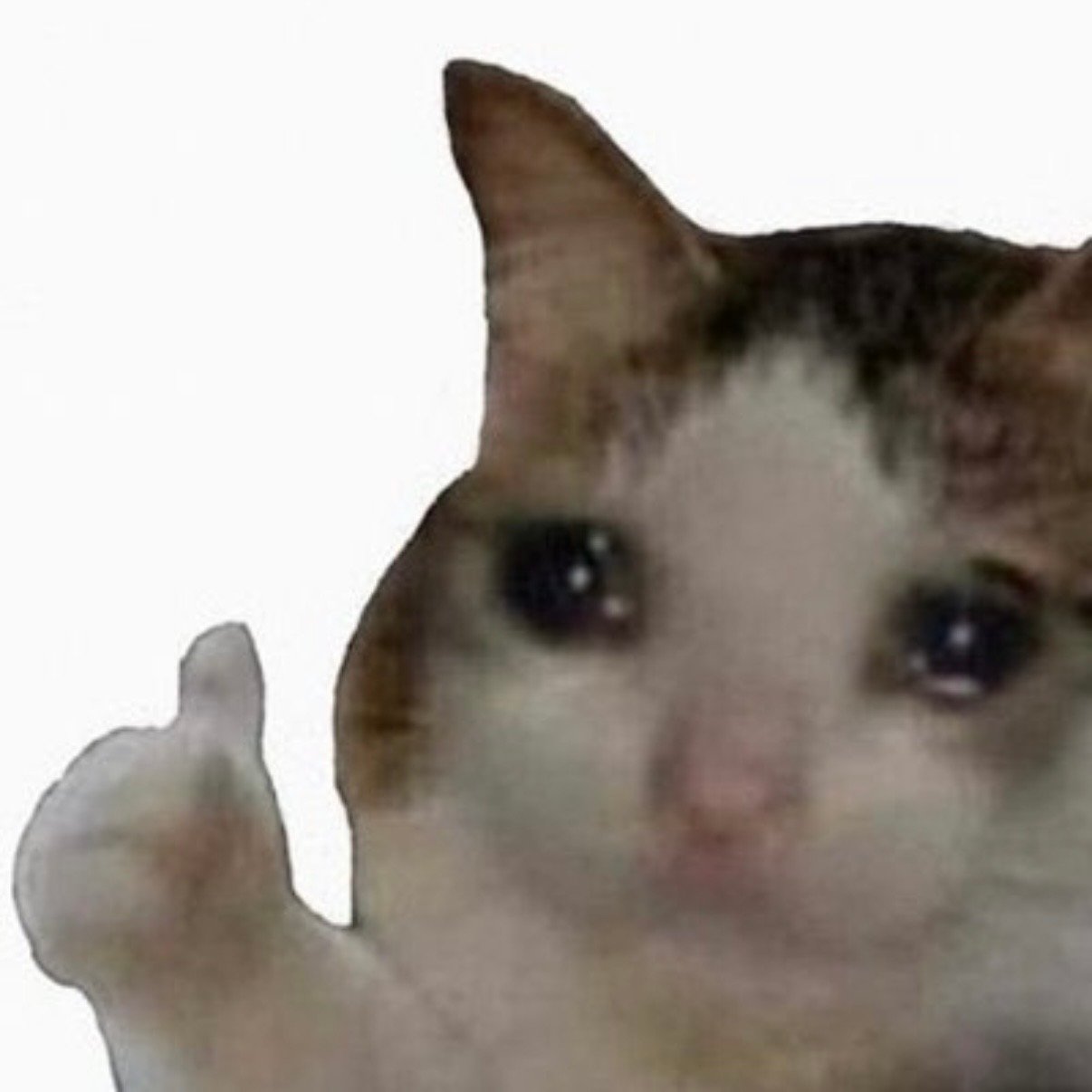 ok I made a meme depot